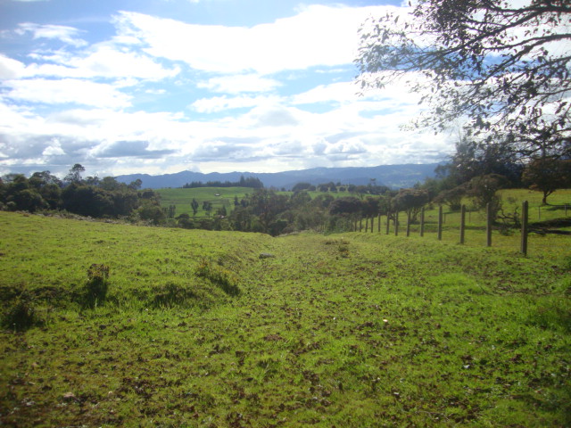 Lote en venta en Yerbabuena, Chía, 10036 m² · foto 12 de 17