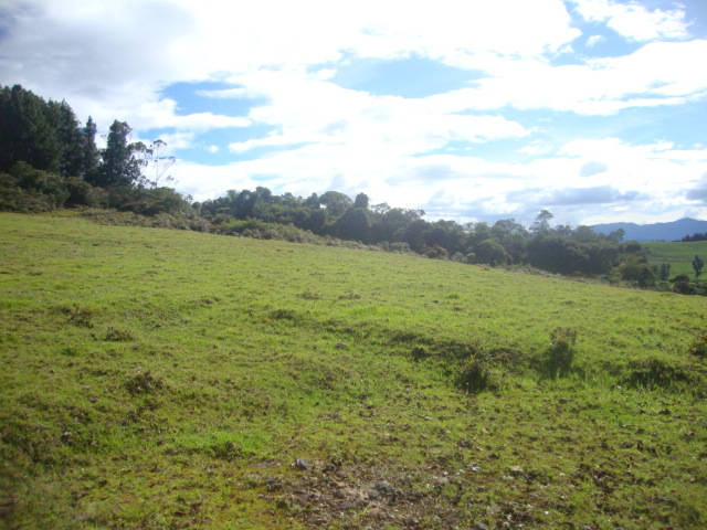 Lote en venta en Yerbabuena, Chía, 10036 m² · foto 14 de 17