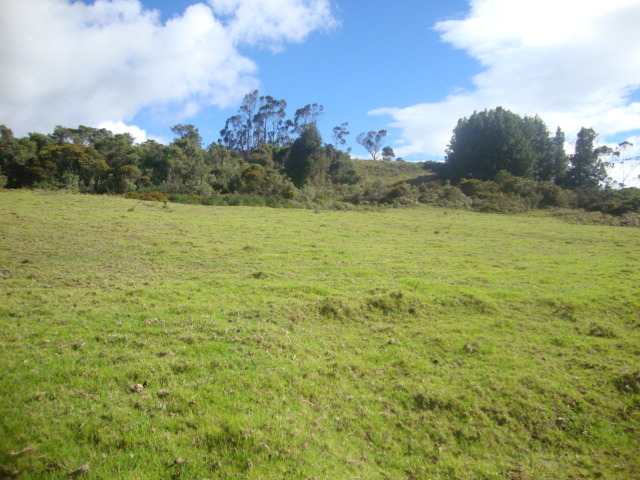 Lote en venta en Yerbabuena, Chía, 10036 m² · foto 16 de 17