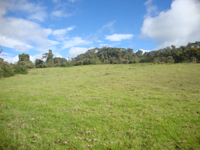Lote en venta en Yerbabuena, Chía, 10036 m² · foto 15 de 17