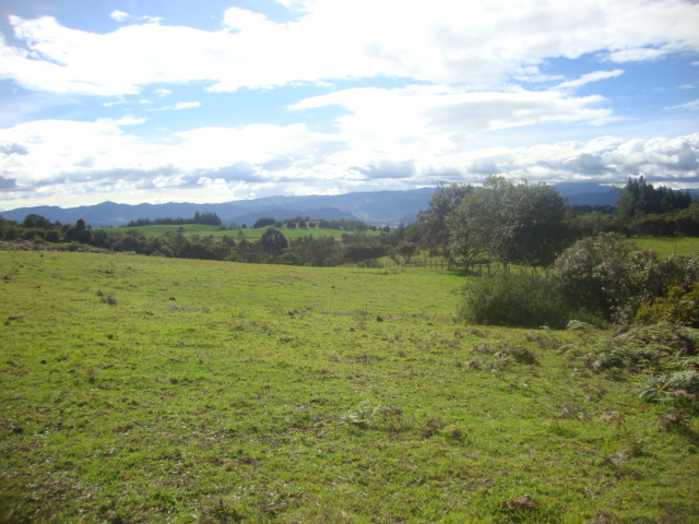 Lote en venta en Yerbabuena, Chía, 10036 m² · foto 17 de 17