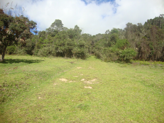 Lote en venta en Yerbabuena, Chía, 10036 m² · foto 5 de 17