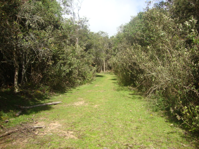 Lote en venta en Yerbabuena, Chía, 10036 m² · foto 6 de 17