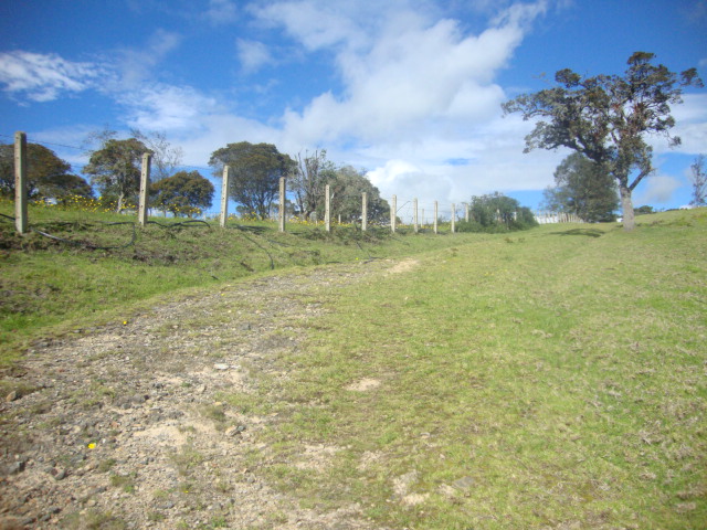 Lote en venta en Yerbabuena, Chía, 10036 m² · foto 3 de 17