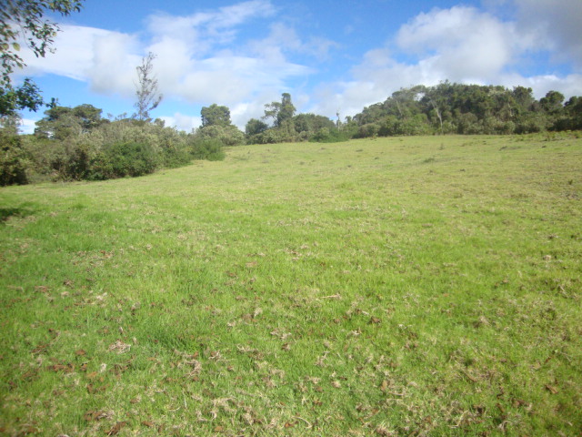 Lote en venta en Yerbabuena, Chía, 10036 m² · foto 9 de 17