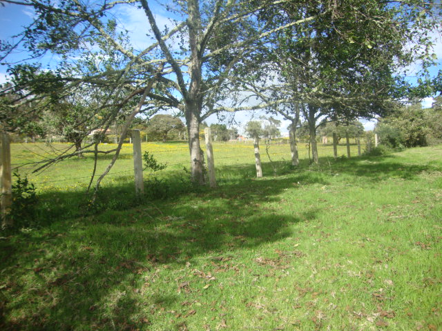 Lote en venta en Yerbabuena, Chía, 10036 m² · foto 8 de 17