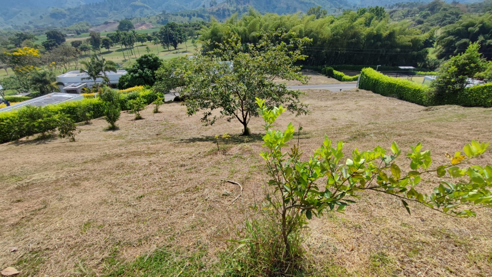 Lote en venta en El Rosario, Manizales, 1800 m² · foto 4 de 9
