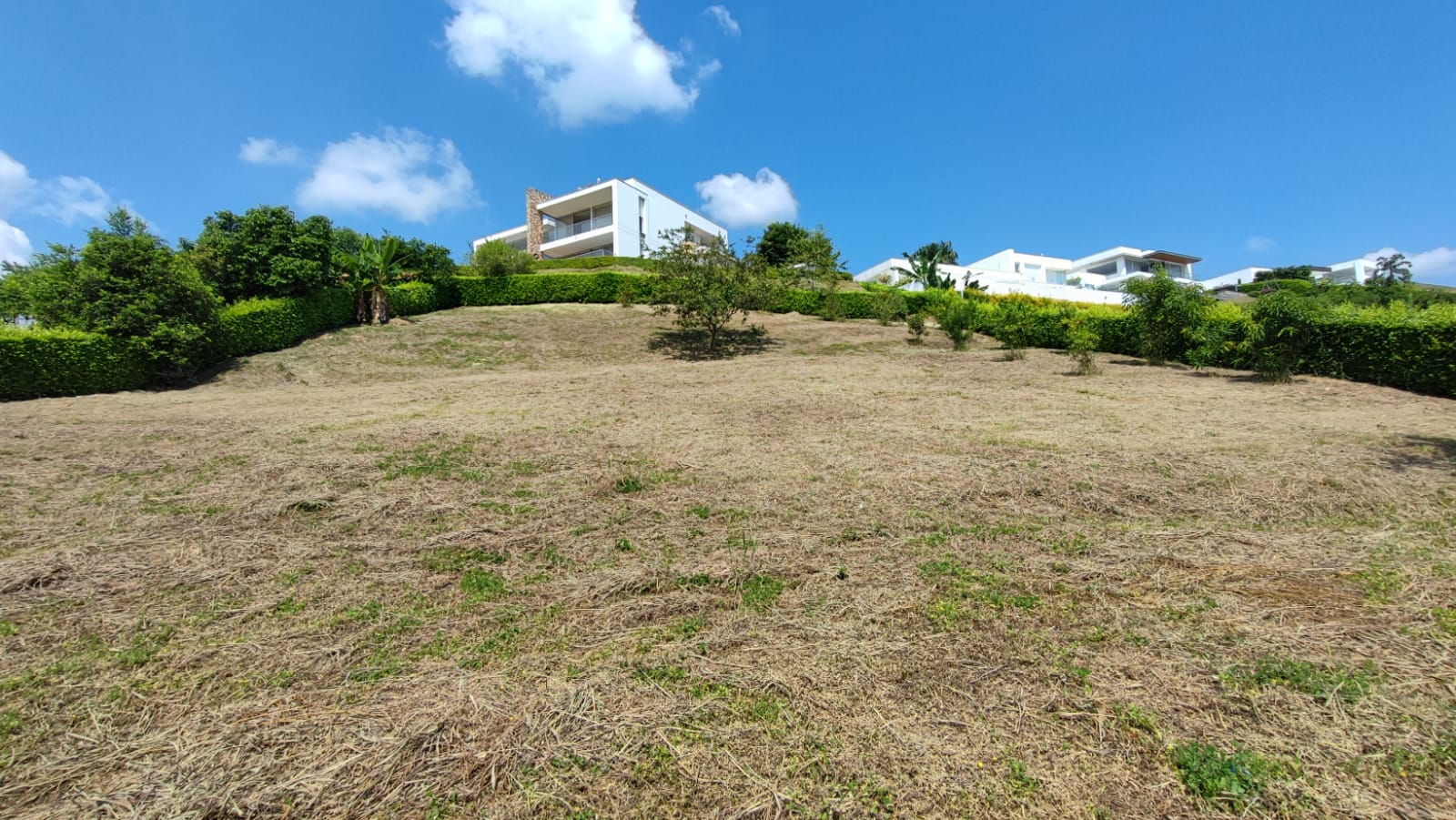 Lote en venta en El Rosario, Manizales, 1800 m² · foto 9 de 9