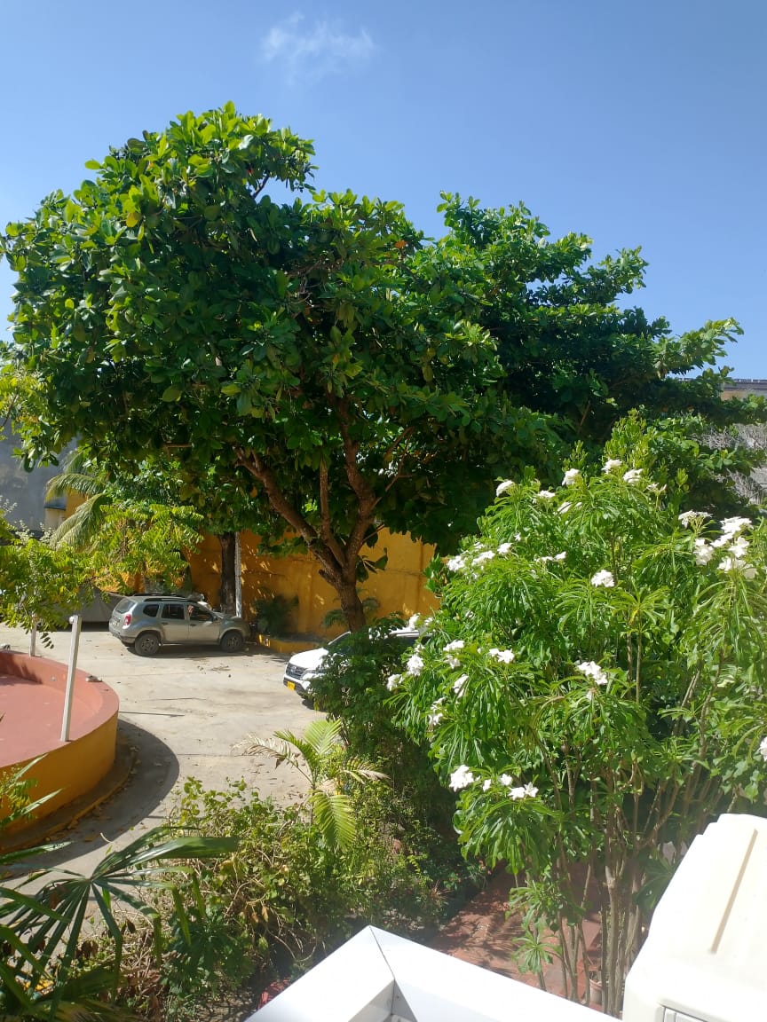 Apartamento en venta en San Diego, Cartagena · foto 7 de 8