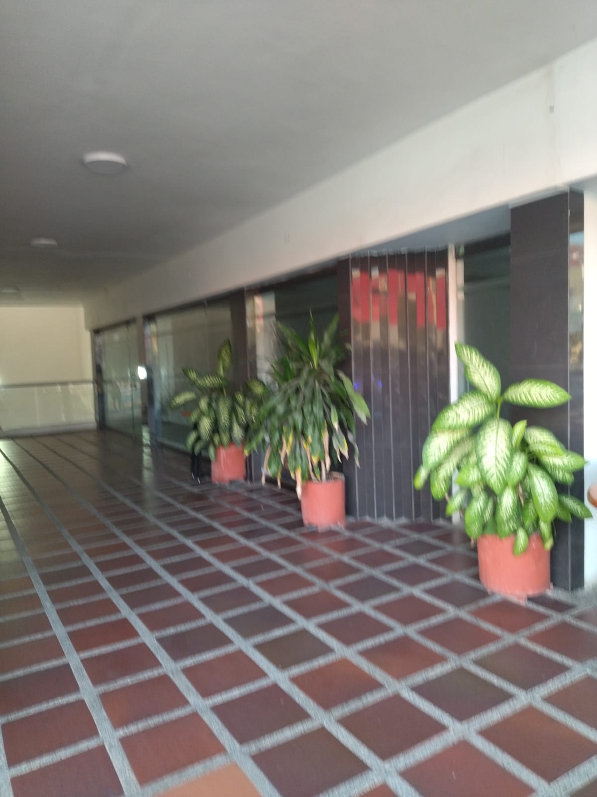 Local en arriendo en Villa Country, Barranquilla, 80 m² · foto 4 de 5