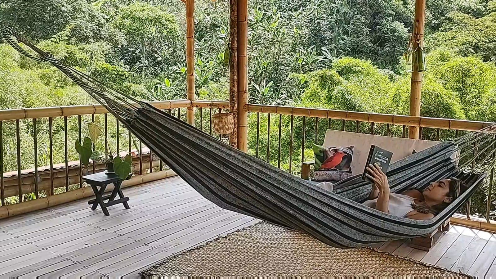 Finca en venta en Martinica Parte Baja, Ibagué, 55000 m² · foto 10 de 20