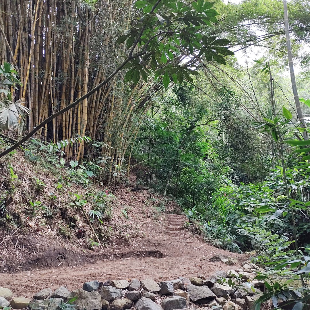 Finca en venta en Martinica Parte Baja, Ibagué, 55000 m² · foto 18 de 20
