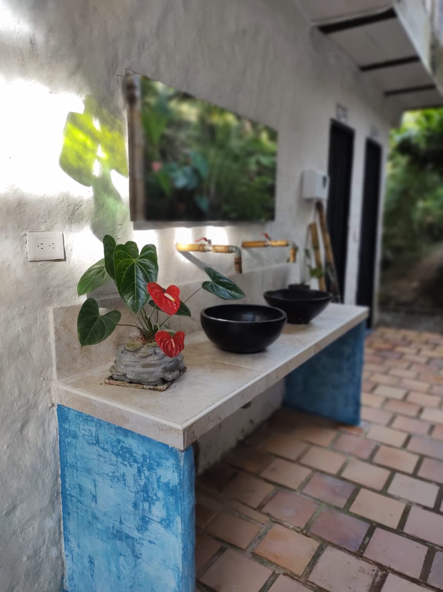 Finca en venta en Martinica Parte Baja, Ibagué, 55000 m² · foto 8 de 20