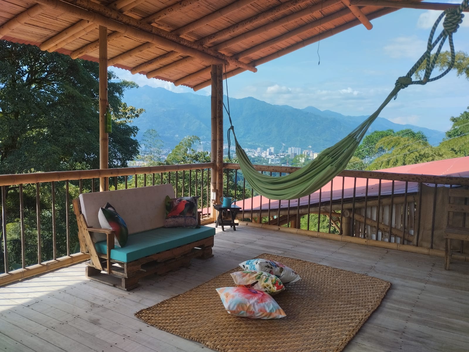 Finca en venta en Martinica Parte Baja, Ibagué, 55000 m² · foto 9 de 20