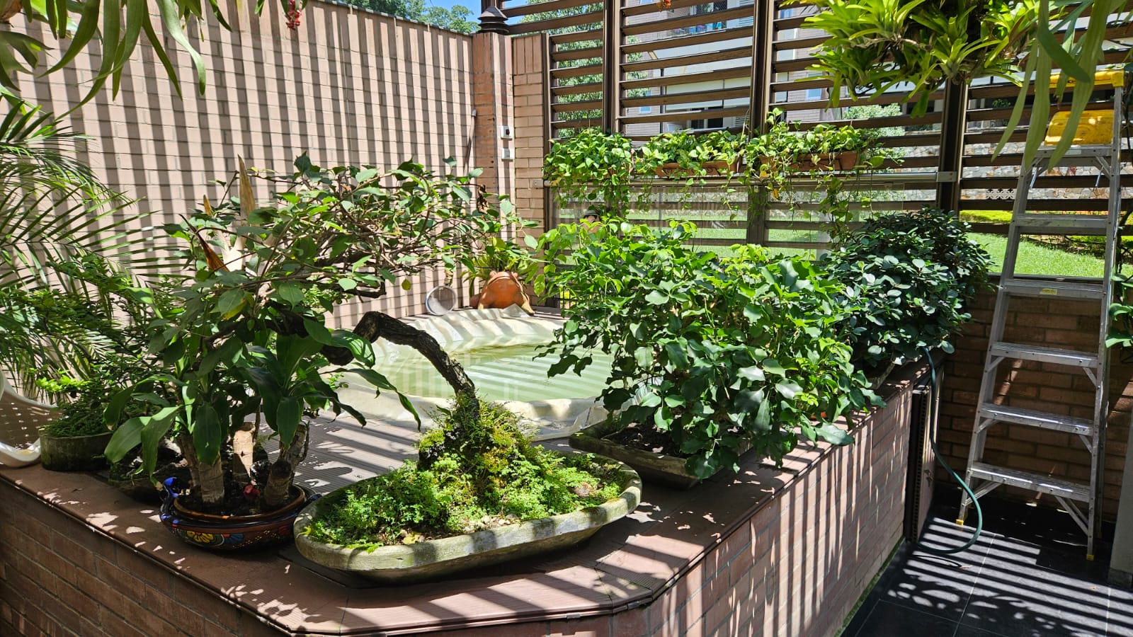 Apartamento de 3 alcobas en venta en Pance, Cali, 330 m² · foto 23 de 24