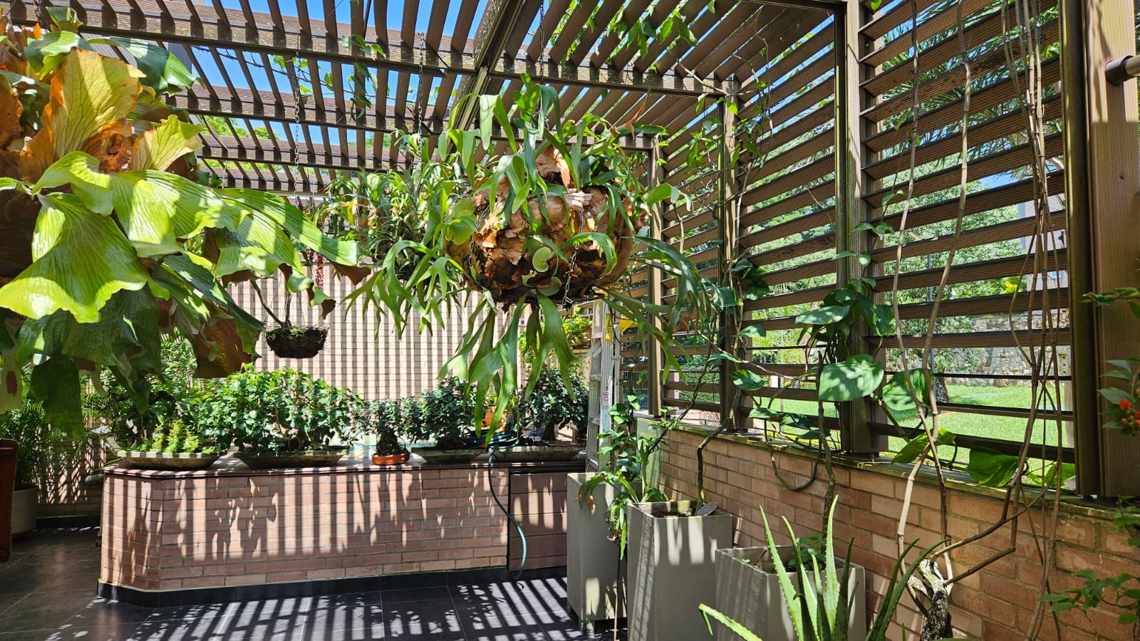 Apartamento de 3 alcobas en venta en Pance, Cali, 330 m² · foto 5 de 24