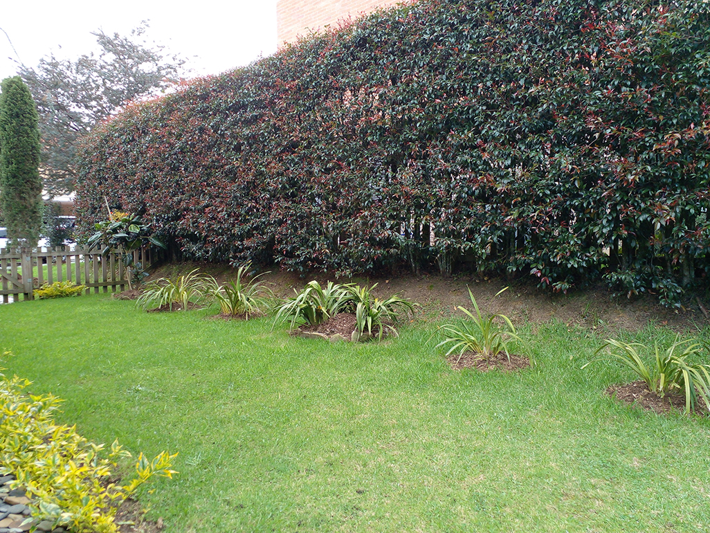 Casa de 3 alcobas en venta en Las Palmas, Envigado, 300 m² · foto 20 de 20