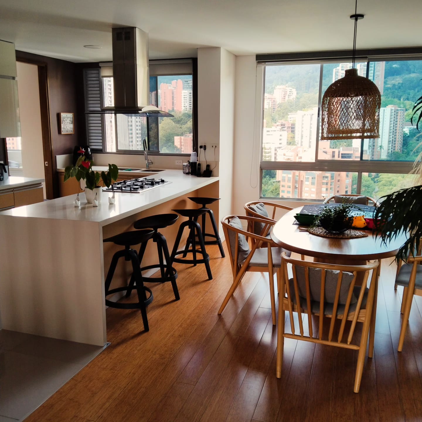 Apartamento de 3 alcobas en venta en Los Balsos No.2, Medellín, 204 m² · foto 5 de 10