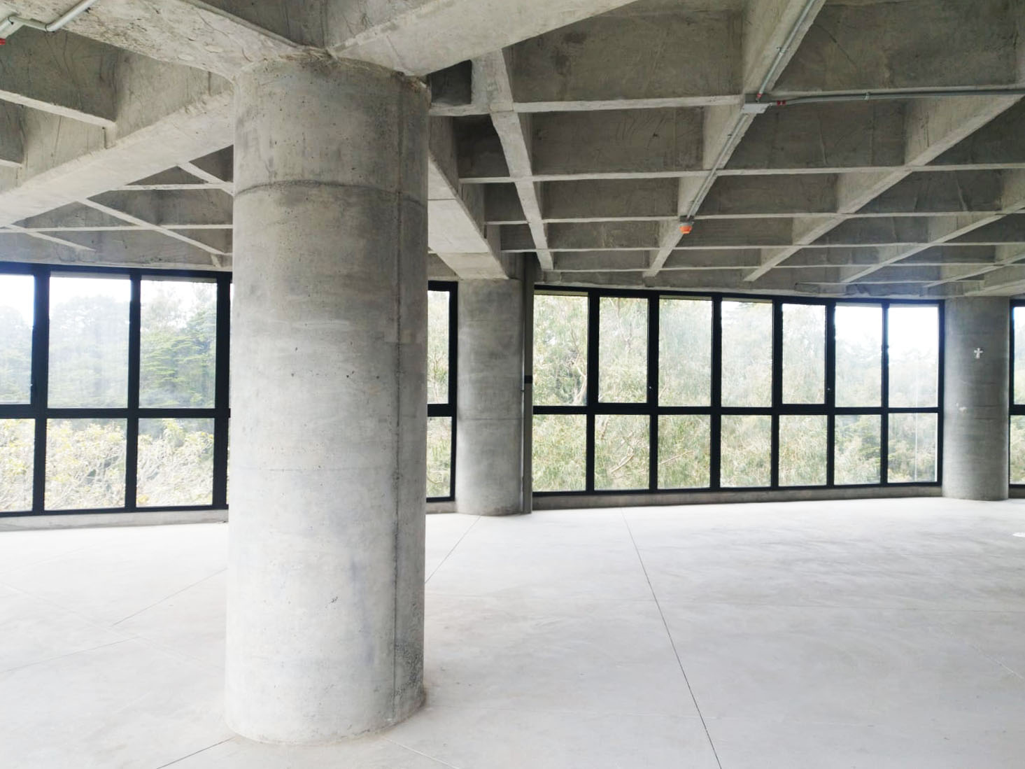 Oficina en arriendo en Vía Las Palmas, Envigado, 214 m² · foto 3 de 10
