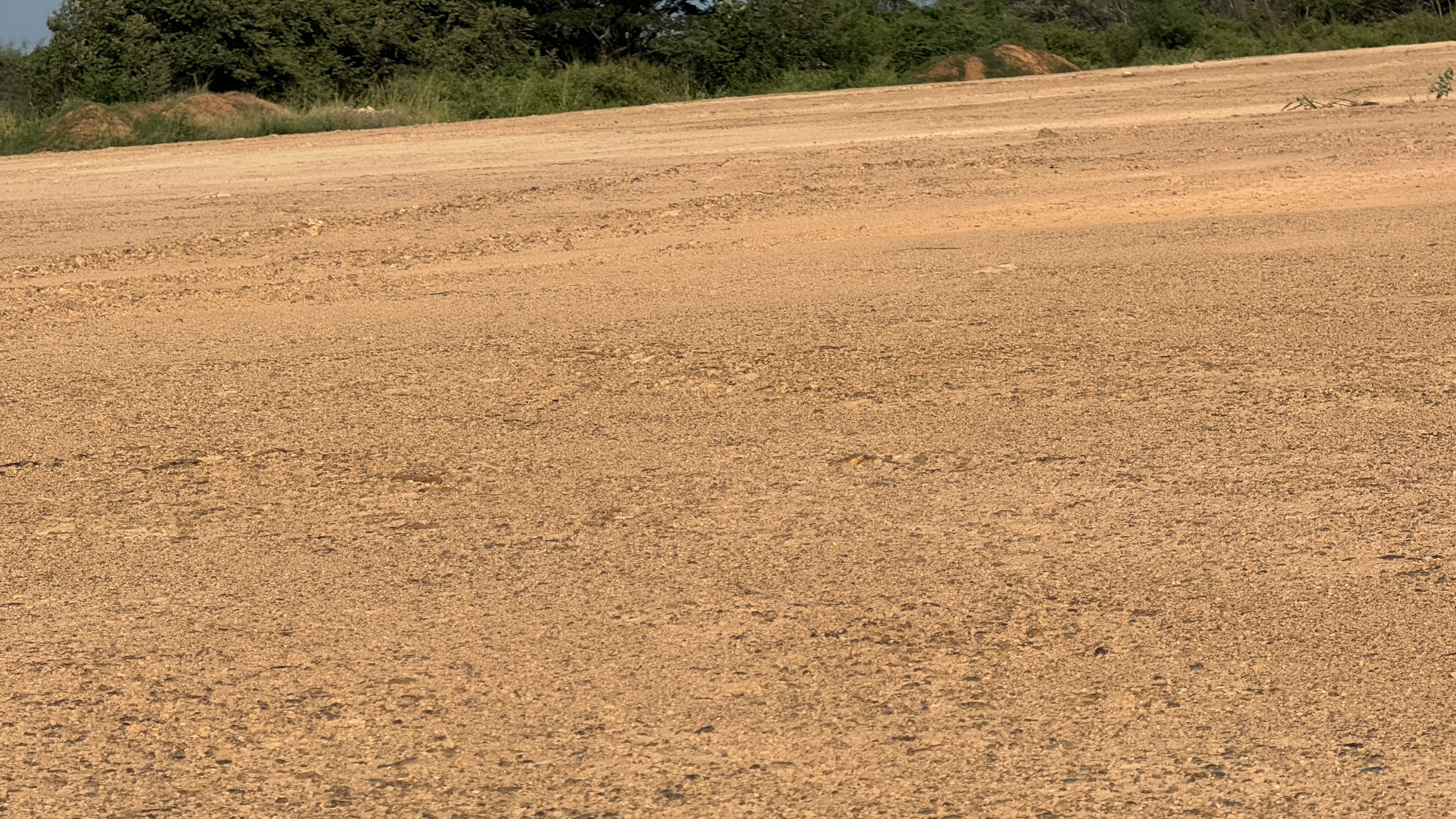 Lote en arriendo en Arroyohondo, Yumbo, 30000 m² · foto 14 de 24