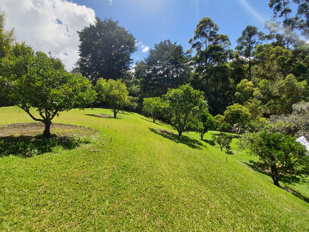Lote en venta en El Retiro, 12400 m² · foto 13 de 18