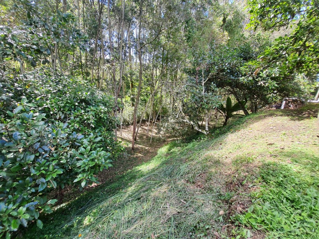 Lote en venta en El Retiro, 12400 m² · foto 14 de 18
