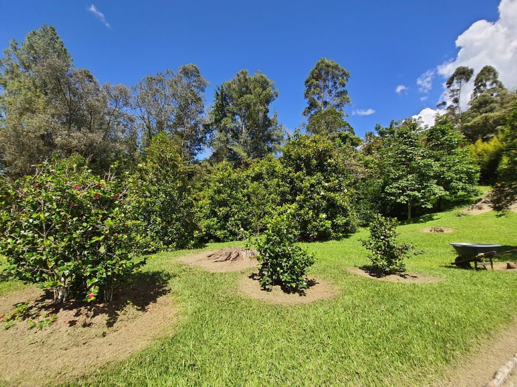 Lote en venta en El Retiro, 12400 m² · foto 3 de 18