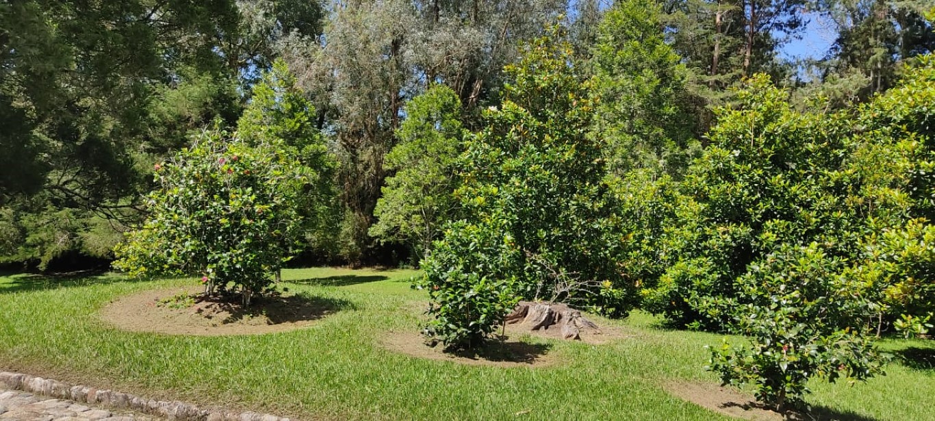 Lote en venta en El Retiro, 12400 m² · foto 4 de 18