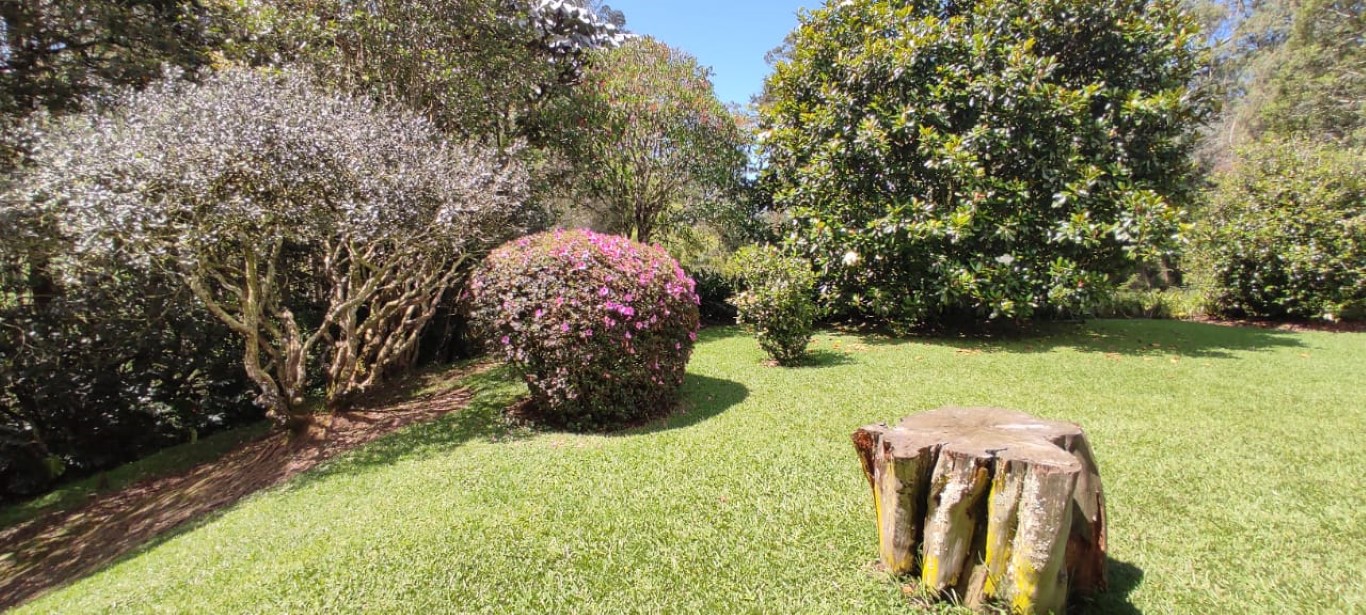 Lote en venta en El Retiro, 12400 m² · foto 6 de 18