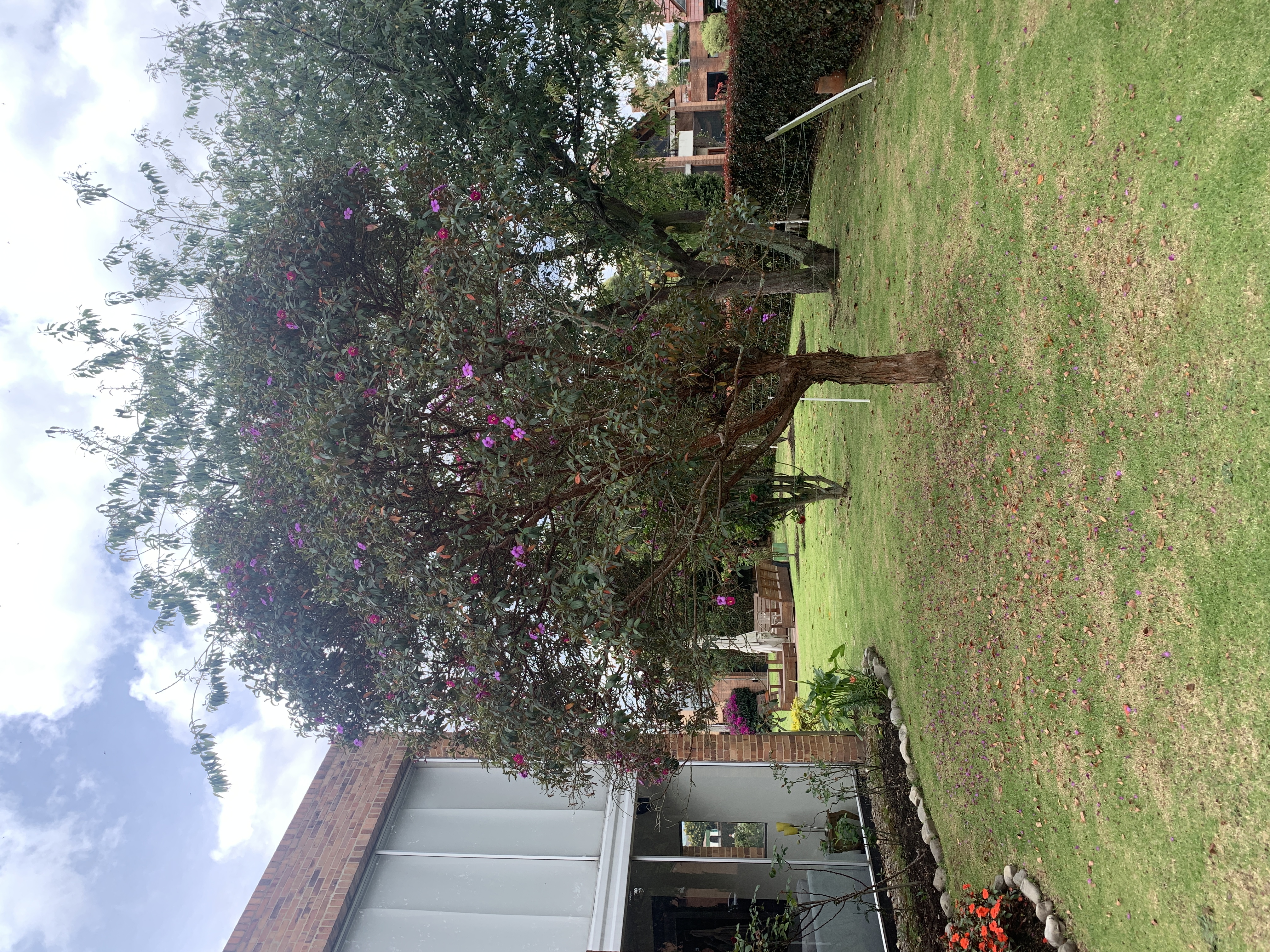 Casa de 5 alcobas en venta en Vereda La Balsa, Chía, 342 m² · foto 23 de 24