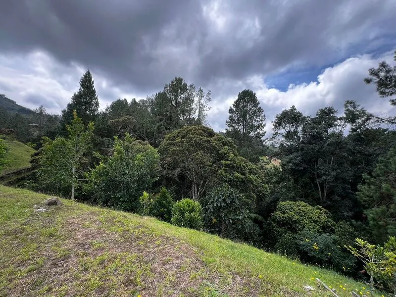 Lote en venta en El Porvenir, Rionegro, 3824 m² · foto 8 de 12
