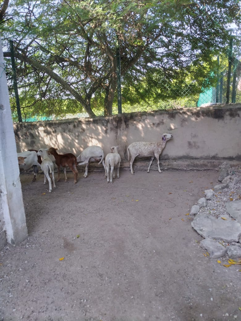 Lote en venta en Cartagena · foto 12 de 24
