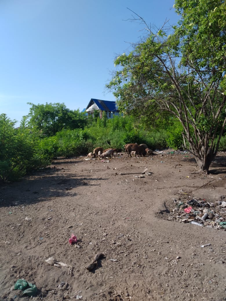 Lote en venta en Cartagena · foto 5 de 24