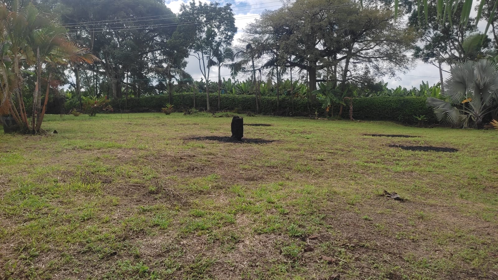 Lote en venta en Puerto Espejo, Armenia, 3156 m² · foto 10 de 16