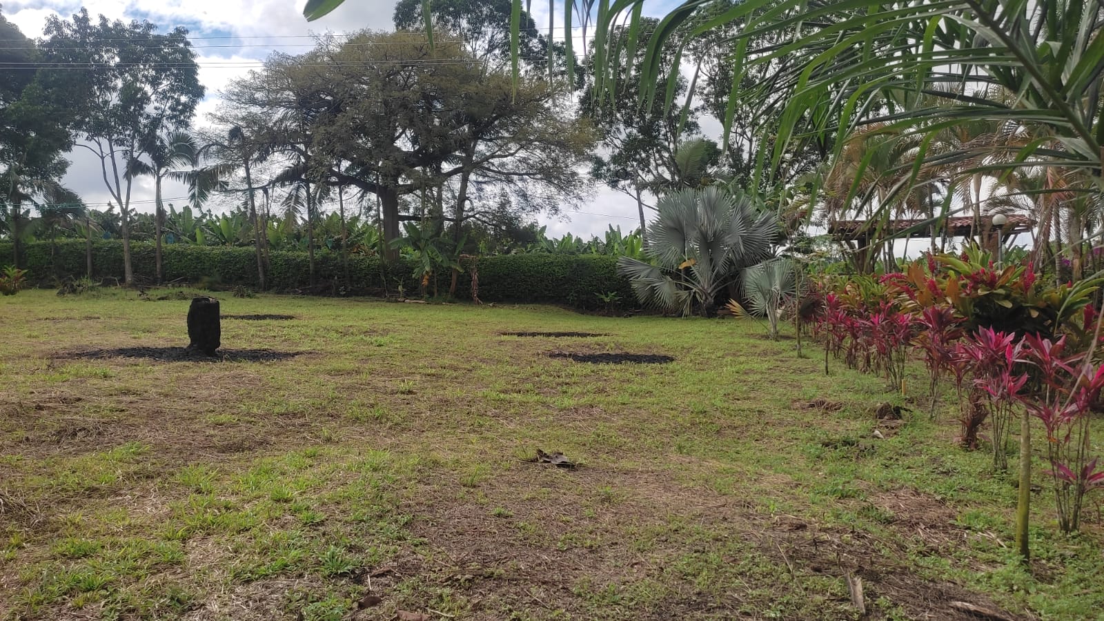 Lote en venta en Puerto Espejo, Armenia, 3156 m² · foto 12 de 16