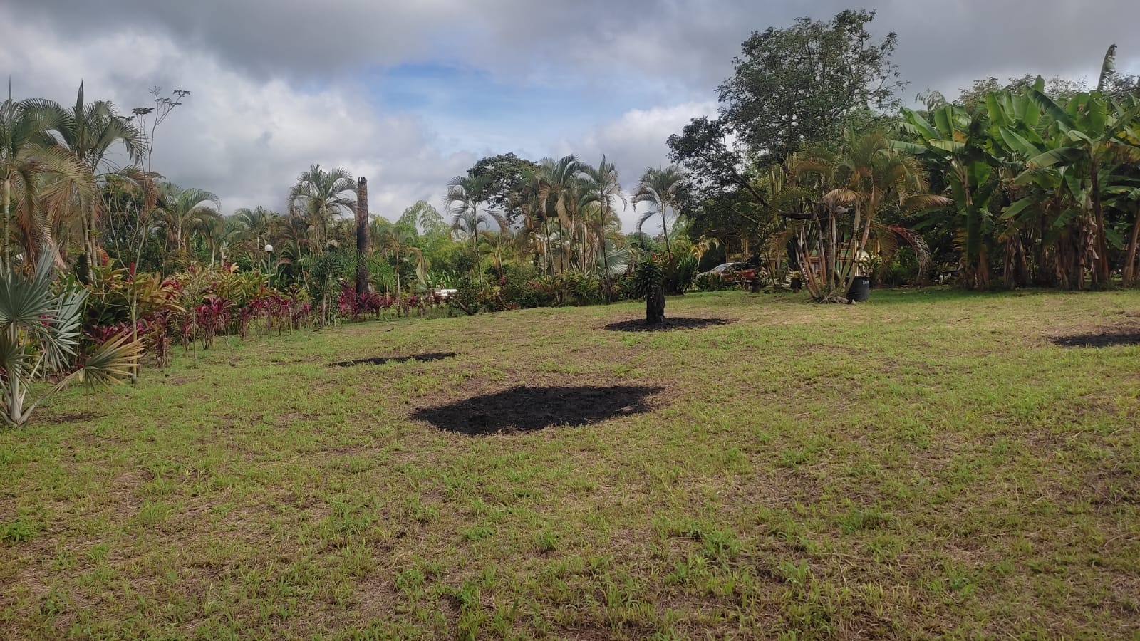 Lote en venta en Puerto Espejo, Armenia, 3156 m² · foto 6 de 16