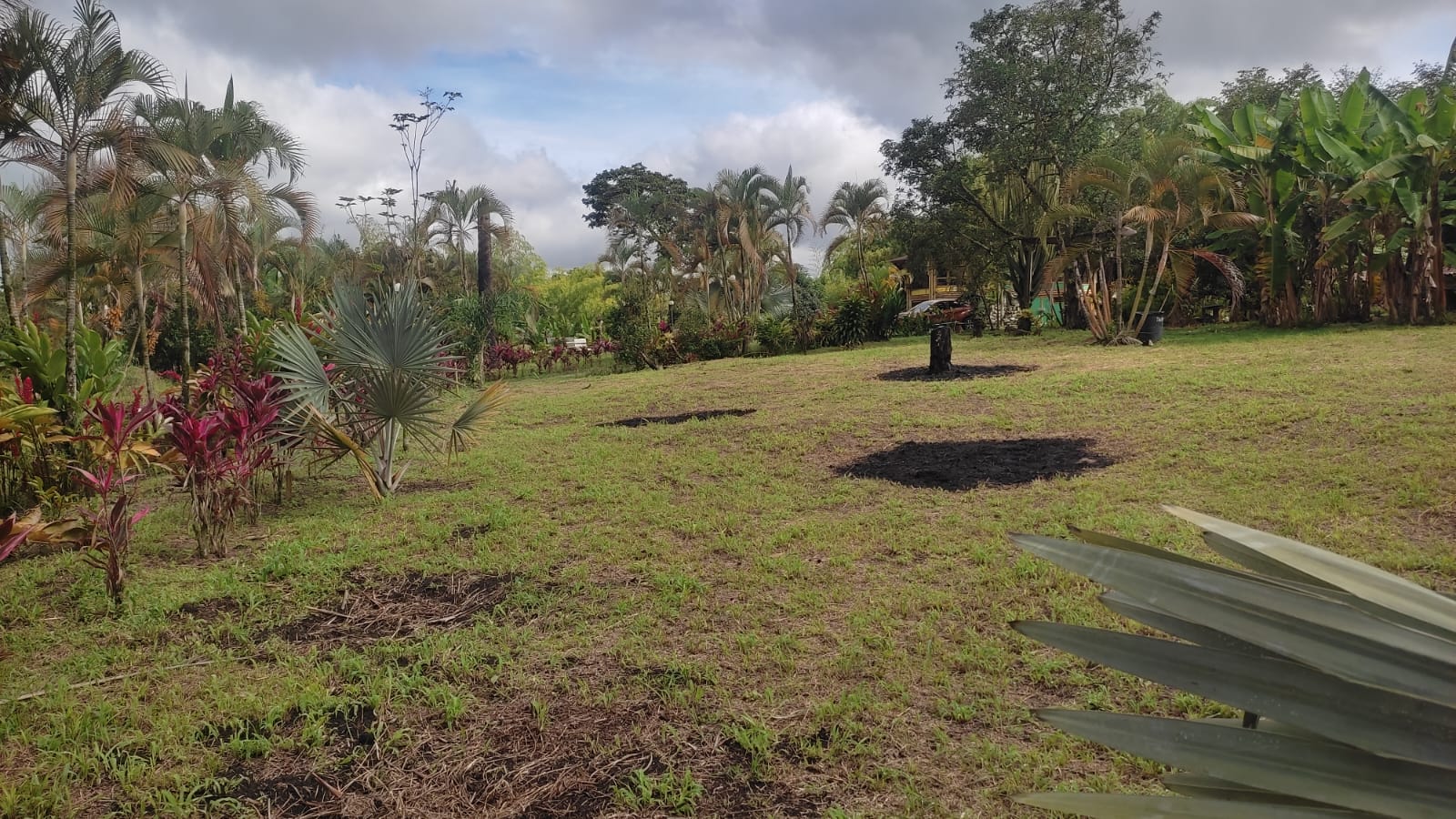 Lote en venta en Puerto Espejo, Armenia, 3156 m² · foto 8 de 16