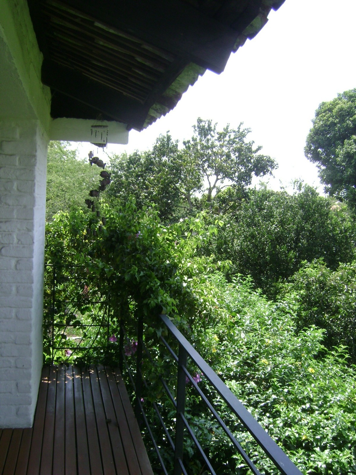 House for rent in Pance, Cali