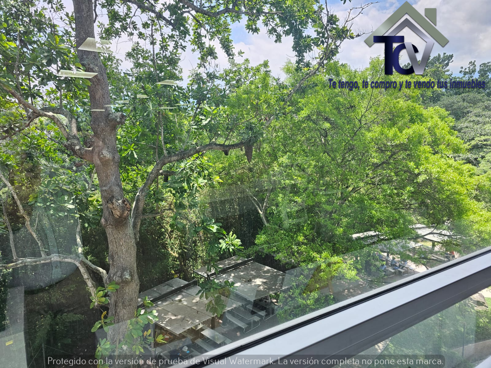 Oficina en venta en Ecoparque Natura, Floridablanca, 290 m² · foto 19 de 20