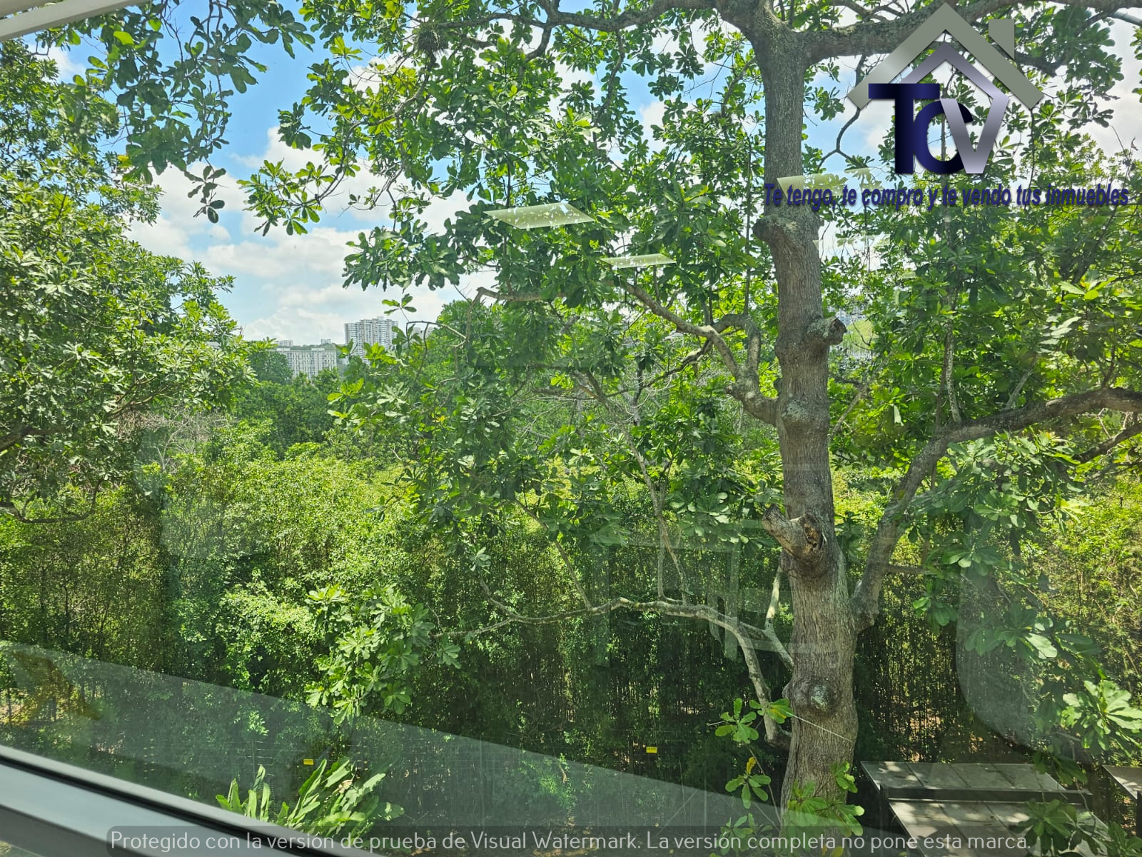 Oficina en venta en Ecoparque Natura, Floridablanca, 290 m² · foto 20 de 20