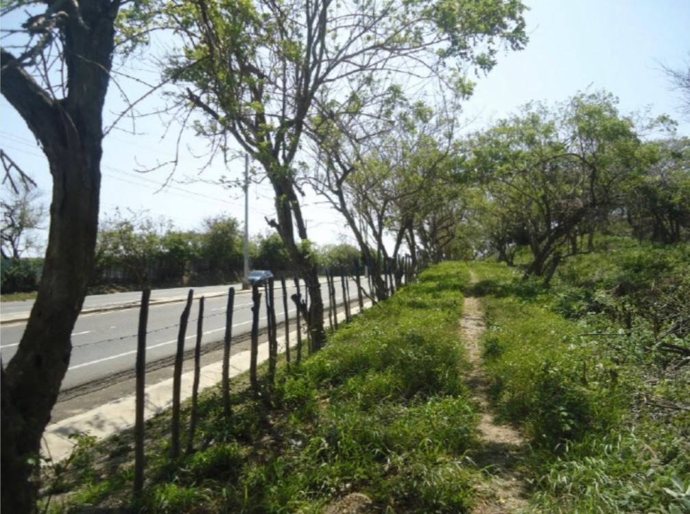 Lote en venta en Barranquilla, 50000 m² · foto 2 de 6
