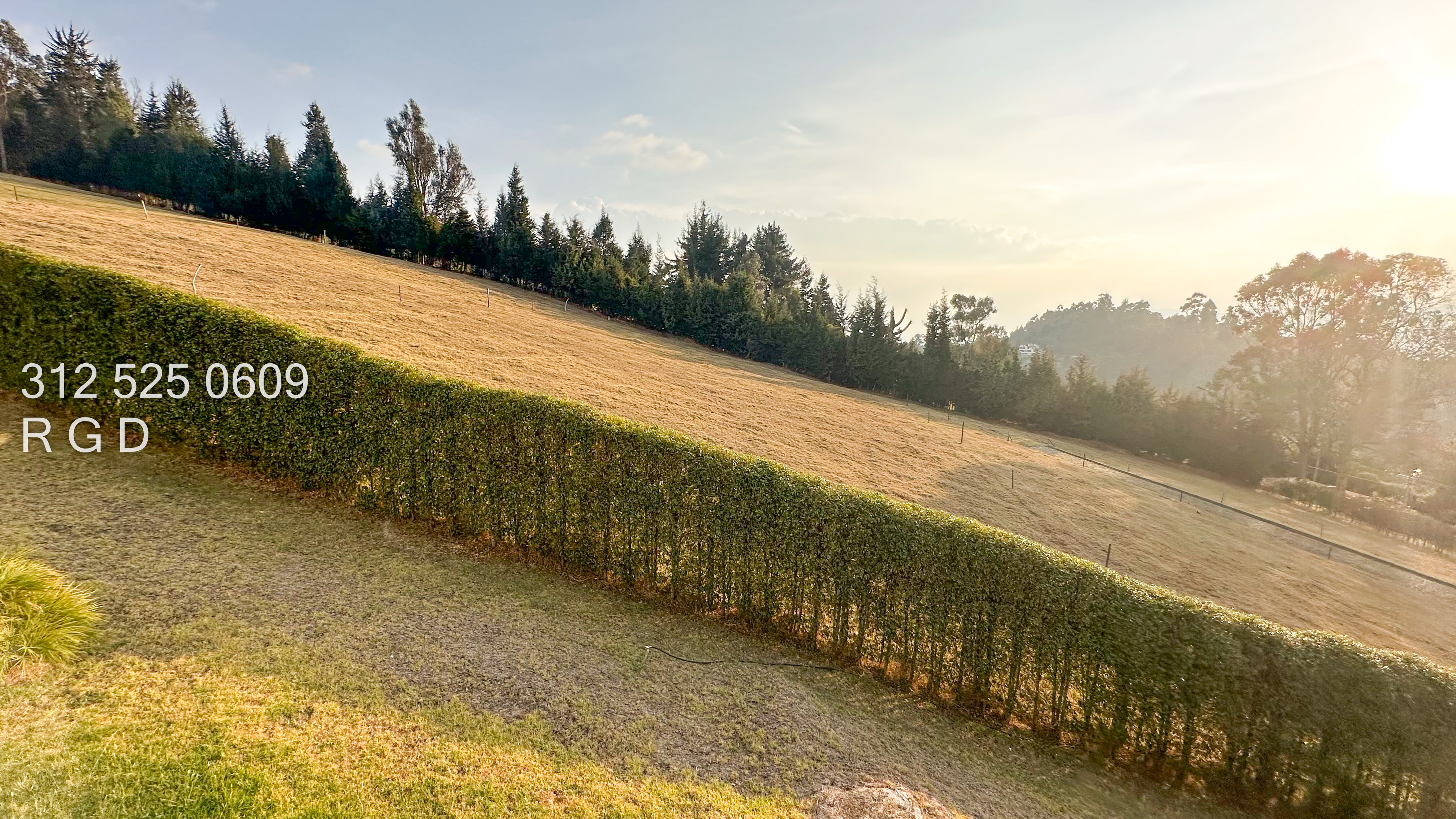 Lote en venta en Yerbabuena, Chía, 10500 m² · foto 10 de 12