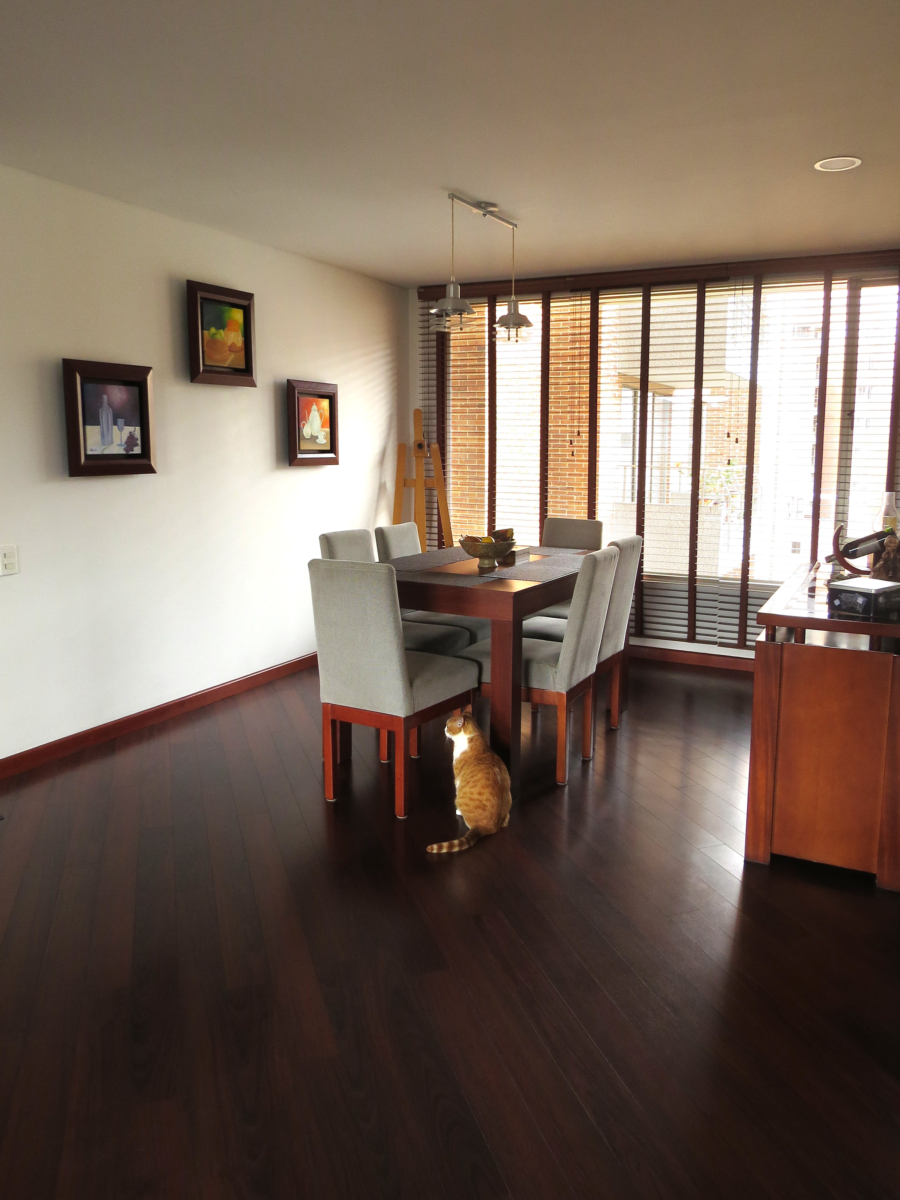 Apartamento en venta en Gratamira, Bogotá · foto 5 de 24