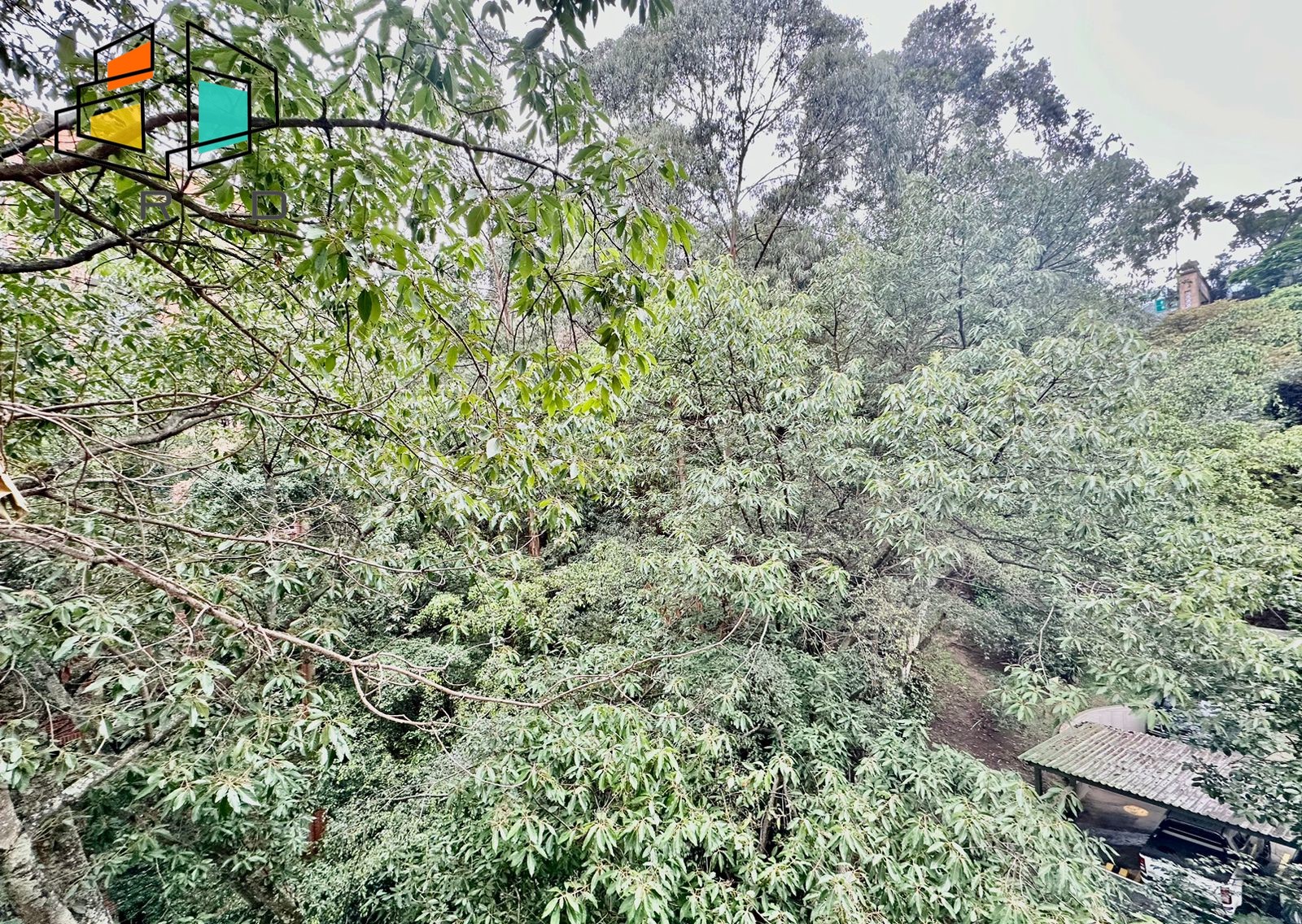 Apartamento de 2 alcobas en arriendo en Castropol, Medellín, 73 m² · foto 24 de 24