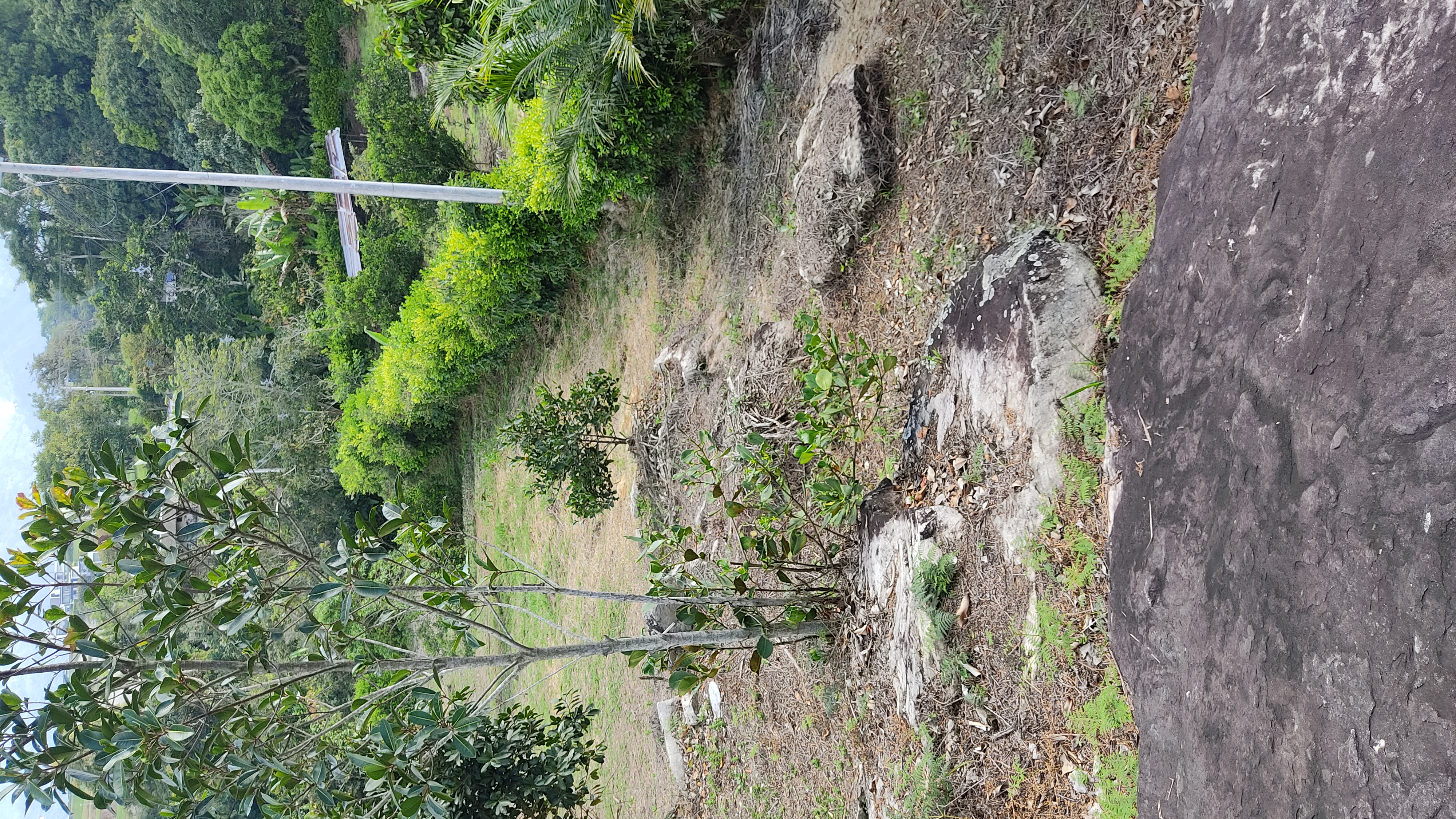 Lote en venta en Ruitoque Alto, Floridablanca, 650 m² · foto 19 de 24