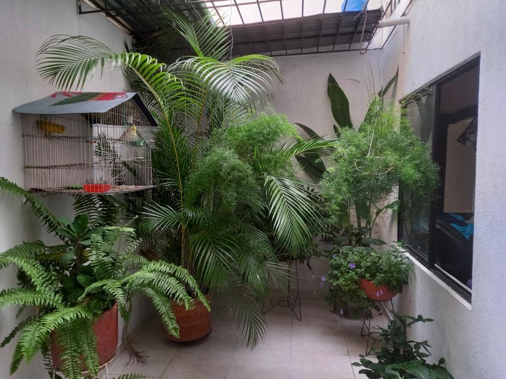 Casa de 5 alcobas en venta en Melendez, Cali, 179 m² · foto 16 de 19
