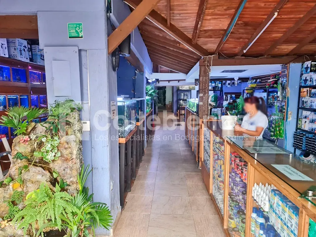 Local en arriendo en El Poblado, Medellín, 500 m² · foto 2 de 13