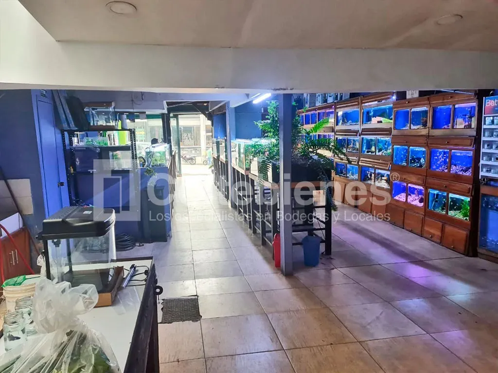 Local en arriendo en El Poblado, Medellín, 500 m² · foto 3 de 13