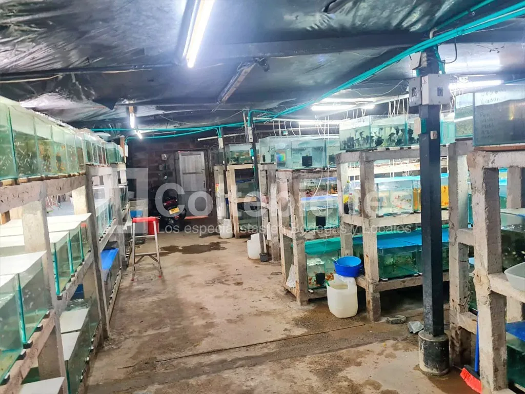 Local en arriendo en El Poblado, Medellín, 500 m² · foto 4 de 13