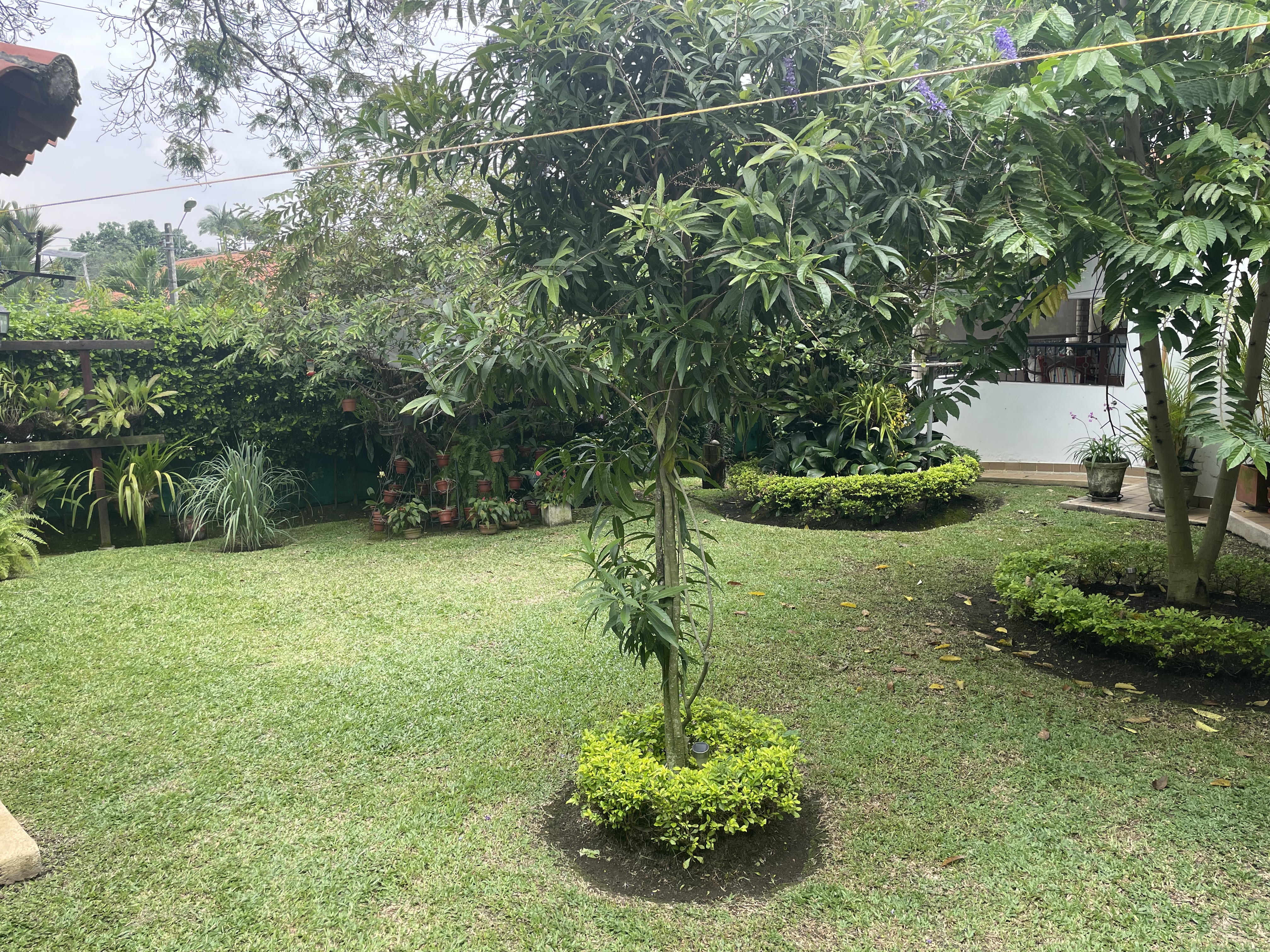 Casa de 5 alcobas en venta en Ciudad Jardin, Cali, 465 m² · foto 5 de 24